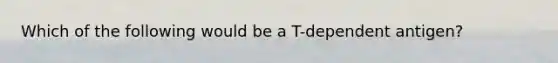 Which of the following would be a T-dependent antigen?