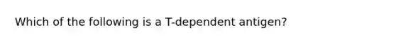 Which of the following is a T-dependent antigen?