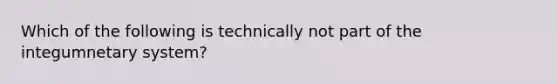 Which of the following is technically not part of the integumnetary system?