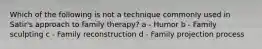 Which of the following is not a technique commonly used in Satir's approach to family therapy? a - Humor b - Family sculpting c - Family reconstruction d - Family projection process