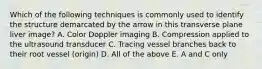 Which of the following techniques is commonly used to identify the structure demarcated by the arrow in this transverse plane liver image? A. Color Doppler imaging B. Compression applied to the ultrasound transducer C. Tracing vessel branches back to their root vessel (origin) D. All of the above E. A and C only