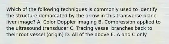 Which of the following techniques is commonly used to identify the structure demarcated by the arrow in this transverse plane liver image? A. Color Doppler imaging B. Compression applied to the ultrasound transducer C. Tracing vessel branches back to their root vessel (origin) D. All of the above E. A and C only