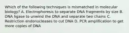 Which of the following techniques is mismatched in molecular biology? A. Electrophoresis to separate DNA fragments by size B. DNA ligase to unwind the DNA and separate two chains C. Restriction endonucleases to cut DNA D. PCR amplification to get more copies of DNA