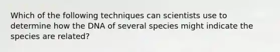 Which of the following techniques can scientists use to determine how the DNA of several species might indicate the species are related?