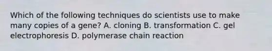 Which of the following techniques do scientists use to make many copies of a gene? A. cloning B. transformation C. gel electrophoresis D. polymerase chain reaction