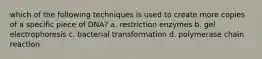 which of the following techniques is used to create more copies of a specific piece of DNA? a. restriction enzymes b. gel electrophoresis c. bacterial transformation d. polymerase chain reaction