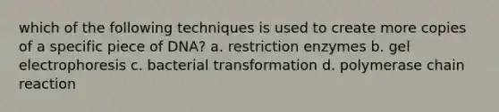 which of the following techniques is used to create more copies of a specific piece of DNA? a. restriction enzymes b. gel electrophoresis c. bacterial transformation d. polymerase chain reaction