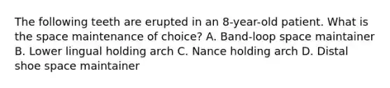 The following teeth are erupted in an 8-year-old patient. What is the space maintenance of choice? A. Band-loop space maintainer B. Lower lingual holding arch C. Nance holding arch D. Distal shoe space maintainer