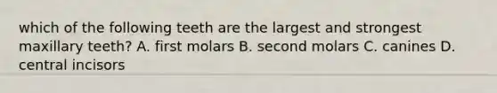 which of the following teeth are the largest and strongest maxillary teeth? A. first molars B. second molars C. canines D. central incisors