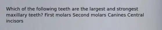 Which of the following teeth are the largest and strongest maxillary teeth? First molars Second molars Canines Central incisors