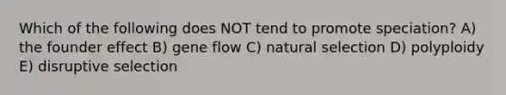 Which of the following does NOT tend to promote speciation? A) the founder effect B) gene flow C) natural selection D) polyploidy E) disruptive selection