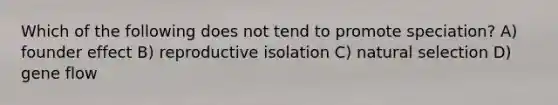 Which of the following does not tend to promote speciation? A) founder effect B) reproductive isolation C) natural selection D) gene flow