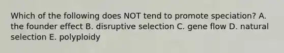 Which of the following does NOT tend to promote speciation? A. the founder effect B. disruptive selection C. gene flow D. natural selection E. polyploidy