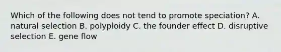 Which of the following does not tend to promote speciation? A. natural selection B. polyploidy C. the founder effect D. disruptive selection E. gene flow