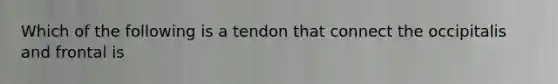 Which of the following is a tendon that connect the occipitalis and frontal is