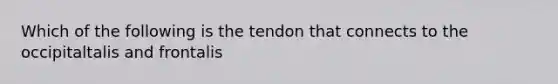 Which of the following is the tendon that connects to the occipitaltalis and frontalis