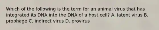 Which of the following is the term for an animal virus that has integrated its DNA into the DNA of a host cell? A. latent virus B. prophage C. indirect virus D. provirus