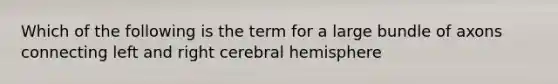 Which of the following is the term for a large bundle of axons connecting left and right cerebral hemisphere