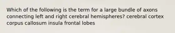 Which of the following is the term for a large bundle of axons connecting left and right cerebral hemispheres? cerebral cortex corpus callosum insula frontal lobes