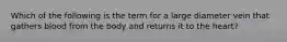Which of the following is the term for a large diameter vein that gathers blood from the body and returns it to the heart?