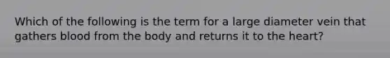 Which of the following is the term for a large diameter vein that gathers blood from the body and returns it to the heart?