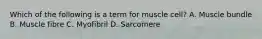 Which of the following is a term for muscle cell? A. Muscle bundle B. Muscle fibre C. Myofibril D. Sarcomere