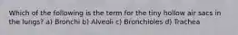 Which of the following is the term for the tiny hollow air sacs in the lungs? a) Bronchi b) Alveoli c) Bronchioles d) Trachea