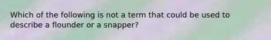 Which of the following is not a term that could be used to describe a flounder or a snapper?