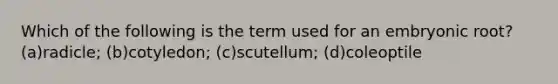 Which of the following is the term used for an embryonic root? (a)radicle; (b)cotyledon; (c)scutellum; (d)coleoptile