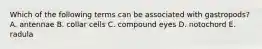 Which of the following terms can be associated with gastropods? A. antennae B. collar cells C. compound eyes D. notochord E. radula