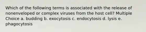 Which of the following terms is associated with the release of nonenveloped or complex viruses from the host cell? Multiple Choice a. budding b. exocytosis c. endocytosis d. lysis e. phagocytosis