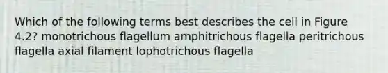 Which of the following terms best describes the cell in Figure 4.2? monotrichous flagellum amphitrichous flagella peritrichous flagella axial filament lophotrichous flagella