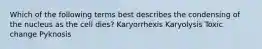 Which of the following terms best describes the condensing of the nucleus as the cell dies? Karyorrhexis Karyolysis Toxic change Pyknosis