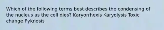 Which of the following terms best describes the condensing of the nucleus as the cell dies? Karyorrhexis Karyolysis Toxic change Pyknosis