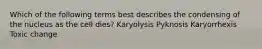 Which of the following terms best describes the condensing of the nucleus as the cell dies? Karyolysis Pyknosis Karyorrhexis Toxic change