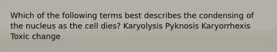 Which of the following terms best describes the condensing of the nucleus as the cell dies? Karyolysis Pyknosis Karyorrhexis Toxic change