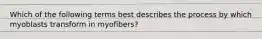 Which of the following terms best describes the process by which myoblasts transform in myofibers?