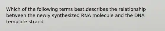 Which of the following terms best describes the relationship between the newly synthesized RNA molecule and the DNA template strand