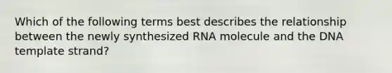 Which of the following terms best describes the relationship between the newly synthesized RNA molecule and the DNA template strand?