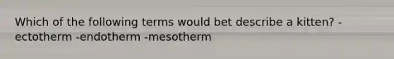 Which of the following terms would bet describe a kitten? -ectotherm -endotherm -mesotherm