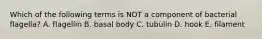 Which of the following terms is NOT a component of bacterial flagella? A. flagellin B. basal body C. tubulin D. hook E. filament