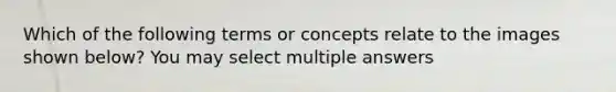 Which of the following terms or concepts relate to the images shown below? You may select multiple answers