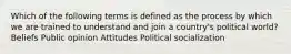 Which of the following terms is defined as the process by which we are trained to understand and join a country's political world? Beliefs Public opinion Attitudes Political socialization