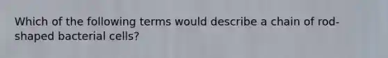 Which of the following terms would describe a chain of rod-shaped bacterial cells?
