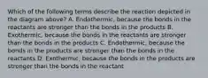 Which of the following terms describe the reaction depicted in the diagram above? A. Endothermic, because the bonds in the reactants are stronger than the bonds in the products B. Exothermic, because the bonds in the reactants are stronger than the bonds in the products C. Endothermic, because the bonds in the products are stronger than the bonds in the reactants D. Exothermic, because the bonds in the products are stronger than the bonds in the reactant