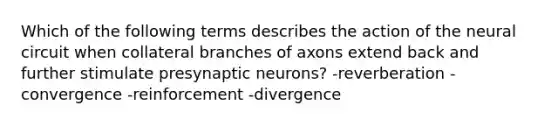 Which of the following terms describes the action of the neural circuit when collateral branches of axons extend back and further stimulate presynaptic neurons? -reverberation -convergence -reinforcement -divergence