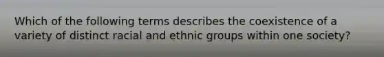 Which of the following terms describes the coexistence of a variety of distinct racial and ethnic groups within one society?