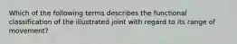 Which of the following terms describes the functional classification of the illustrated joint with regard to its range of movement?