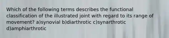 Which of the following terms describes the functional classification of the illustrated joint with regard to its range of movement? a)synovial b)diarthrotic c)synarthrotic d)amphiarthrotic