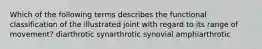 Which of the following terms describes the functional classification of the illustrated joint with regard to its range of movement? diarthrotic synarthrotic synovial amphiarthrotic